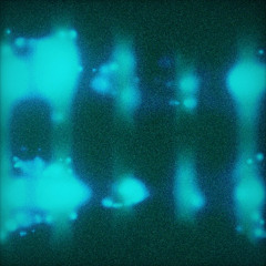 Kepler (ft. Pandaflare)