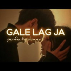 Gale Lag Ja [Lo-Fi] | (slowed+reverb) Meri Itni Si Hasrat Hai | De Dana Dan
