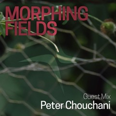 Guest Mix 001 - Peter Chouchani