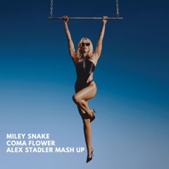 01 MILEY SNAKE - COMA FLOWER - ALEX STADLER MASHUP