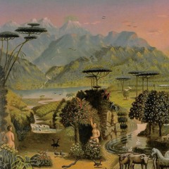 World Radio for Rigenera Collective 𖥔 Alvise Tramonte