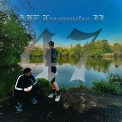 AFE Frequencies II (Jungle + Drum and Bass Mix)