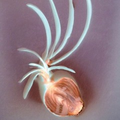 20231124 U.V.