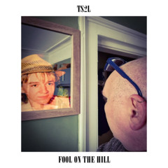 Fool on the hill (in the style of The Beatles)