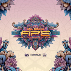 APE  Night 2025-12-06_03h00m36s