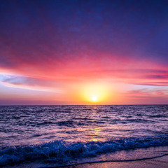 Vitamin Sea