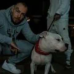 FYRE - Стрес Тест