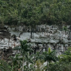 Tag des offenen Decks + Bonusmix