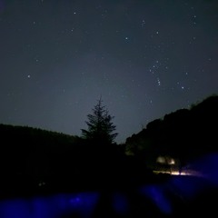 Tekno & Tribe Halloween Set 165-180 bpm