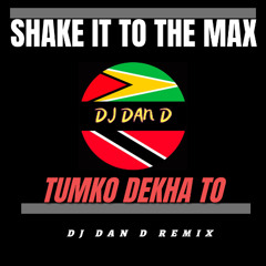 Shake It To The Max X Tumko Dekha To (DJ DAN D NYC)