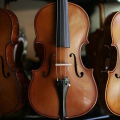 A Soulful Symphony (Original Work)