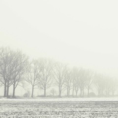 Frozen Fields - Improvised Waltz Piece