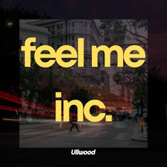 Feel Me Inc.
