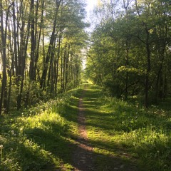 Spojení se sebou a zdroji - vedená meditace