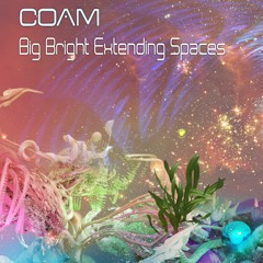 Coam - Big Bright Extending Spaces [Mindspring Music]