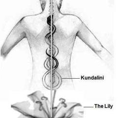 Shudder|King Of Snake