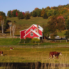 i got horses in my car like a farmer
