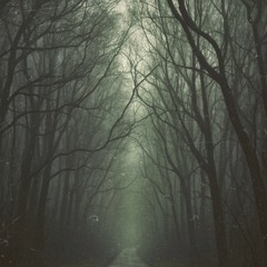 Some Things Are Best Left Unsaid
