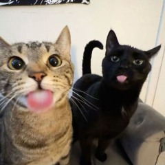 NINEXTEEN X JWASABI-TOXIC