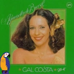 Gal Costa - Aquarela Do Brasil (Stilck Bootleg)