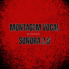 MONTAGEM VOCAL SONORA 2.0