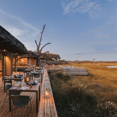 Botswana Safaris