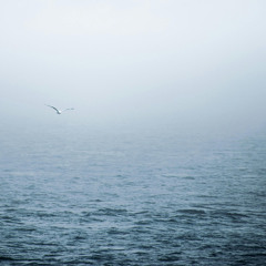 Through this ocean glass