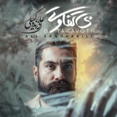 بی تفاوتی- علی زند وکیلی / Ali zandvakili