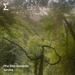Pho Bho Records – tundra