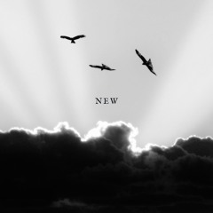 New
