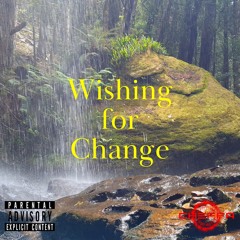 Wishing for change