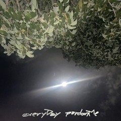 everyDay (pardonMe) // prod. JGRANTBEATS, Skrrt