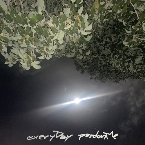 everyDay (pardonMe) // prod. JGRANTBEATS, Skrrt