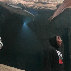 Wishing On A Star (prod. Flowers in Narnia)