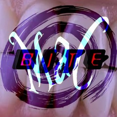 BITE V1.3