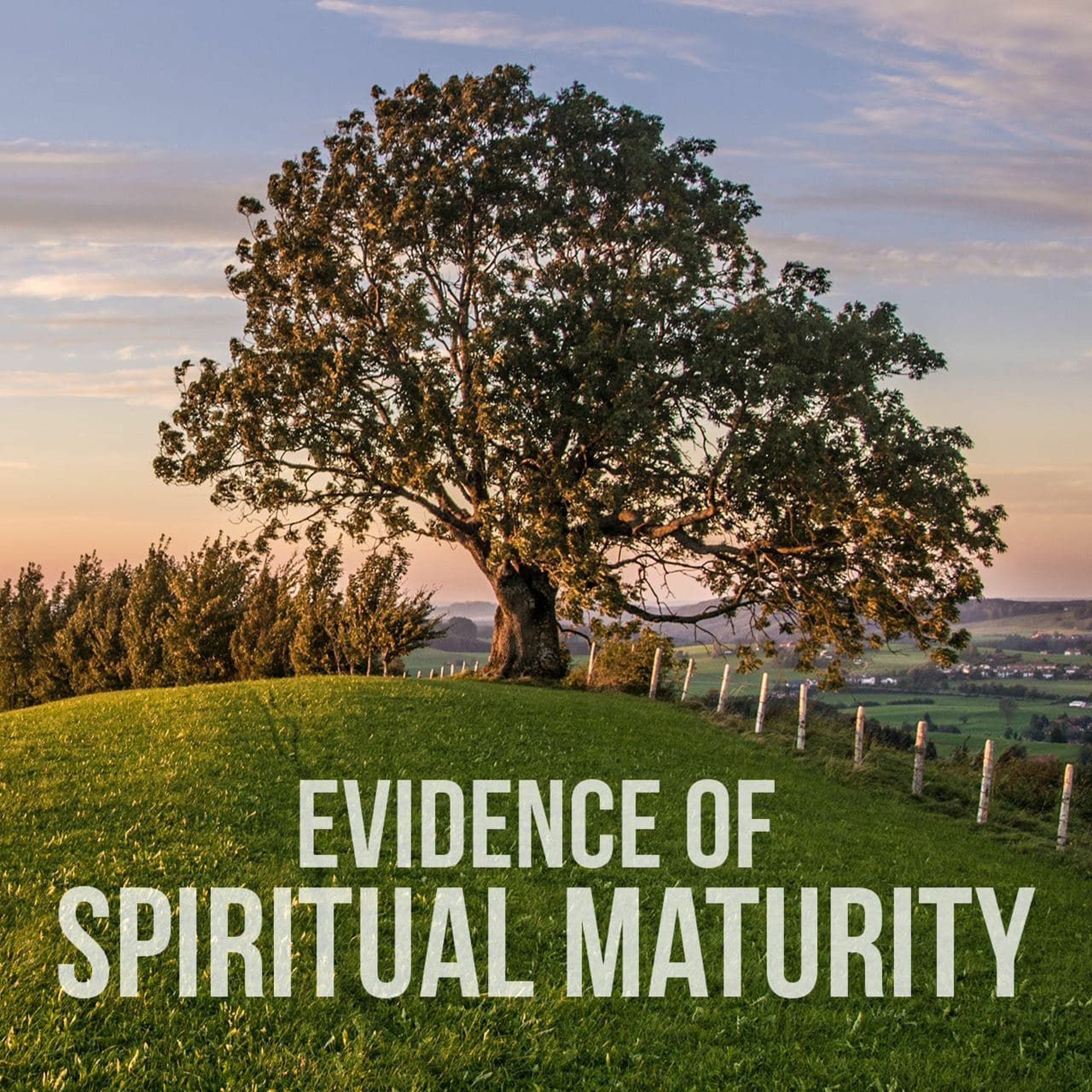 The Evidence of Spiritual Maturity episode artwork