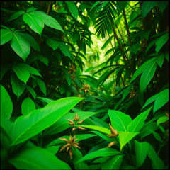 Leaf Up (Kratom Anthem Remix)