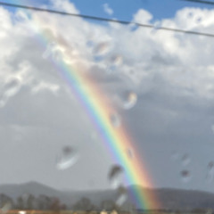 Silent Rain(1)
