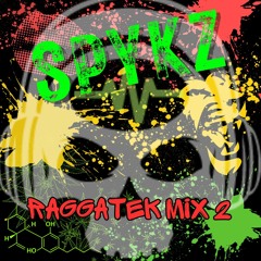 Spykz Raggatek mix 2