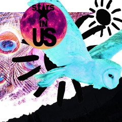 Stars In Us