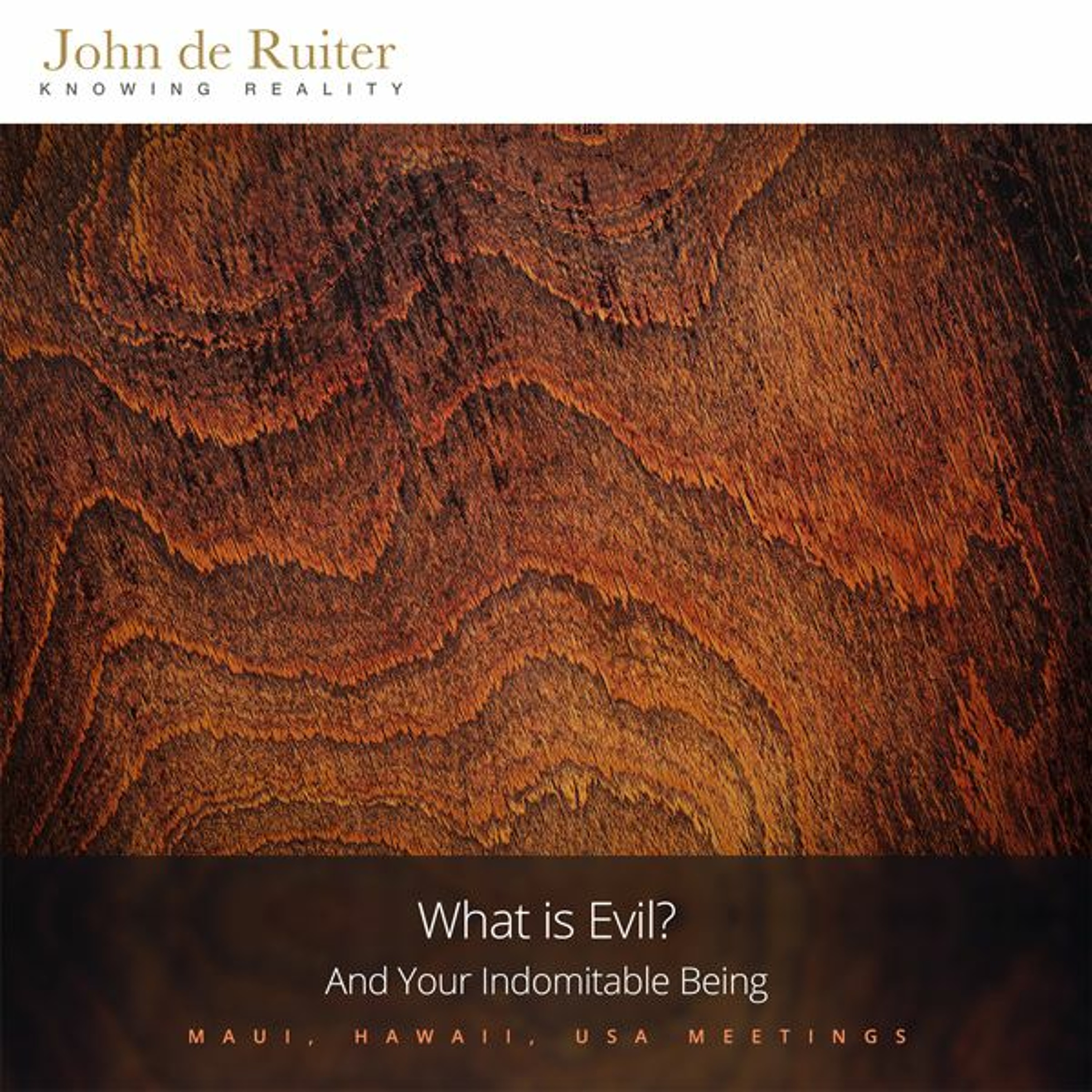 298 - What is Evil? And Your Indomitable Being - 1 of 1 episode artwork