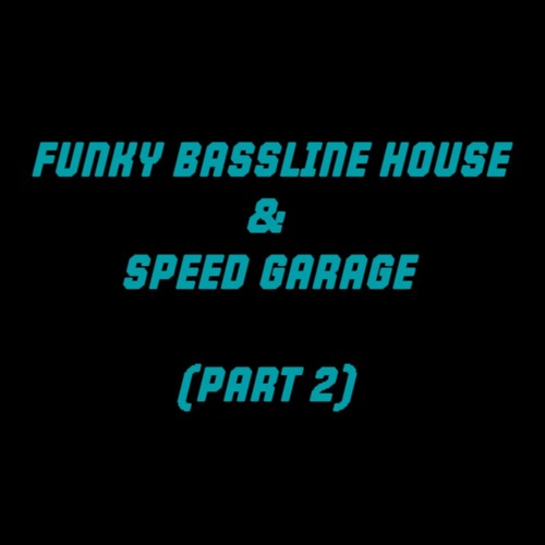 Funky Bassline House & Speed Garage DJ Mix (Part 2)
