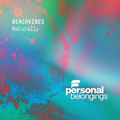 BeachVibes  - Saltlake (Original Mix)