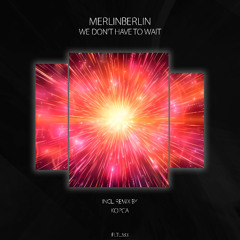 PREMIERE: MerlinBerlin - We Dont Have to Wait (Kopca Remix) [Polyptych Limited]
