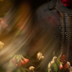 Premiere: AVTEL - Midnight Roses [Gloire Records]