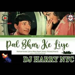 Pal Bhar Ke Liye Koi Hame Pyaar Kar Le - Dj Harry NYC Remix