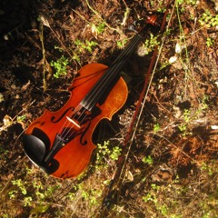 Garden violin