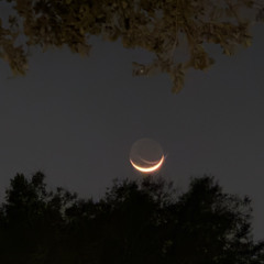 save yourself. Prod 2lz