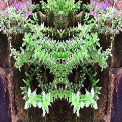 metamorphic.decomposition