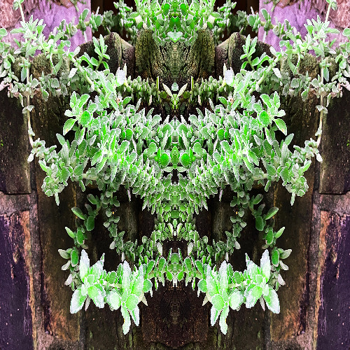 metamorphic.decomposition